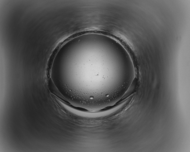 X0000094901308200712061020