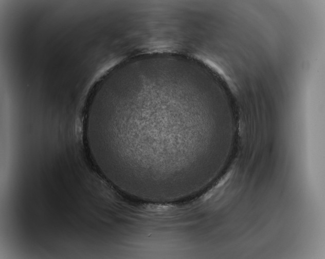 X0000094901309200712061020