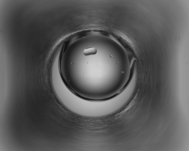 X0000094901310200712061020