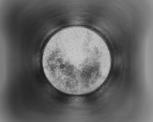 X0000094901314200712061020