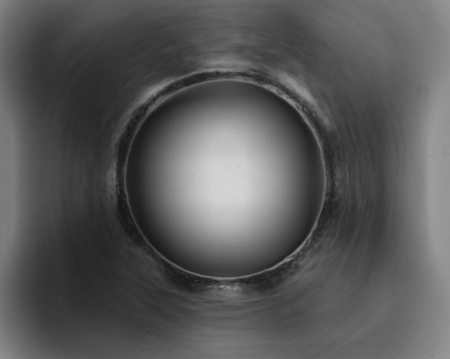 X0000094901315200712061020
