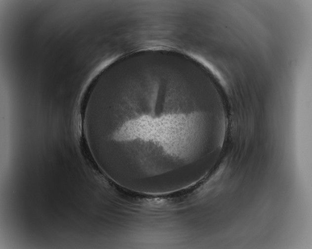 X0000094901317200712061020