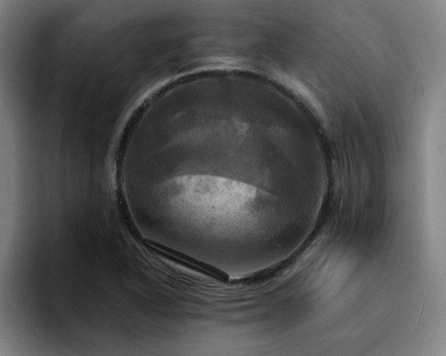 X0000094901318200712061020