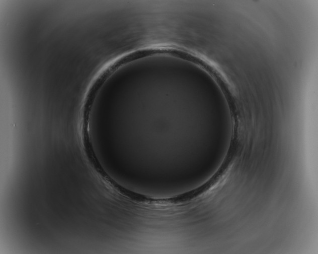 X0000094901319200712061020