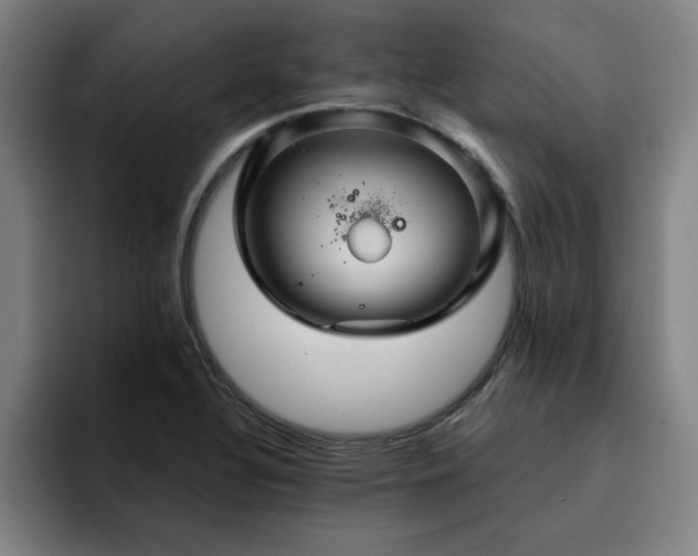 X0000094901320200712061020