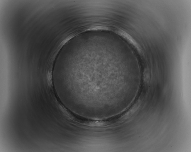 X0000094901321200712061020