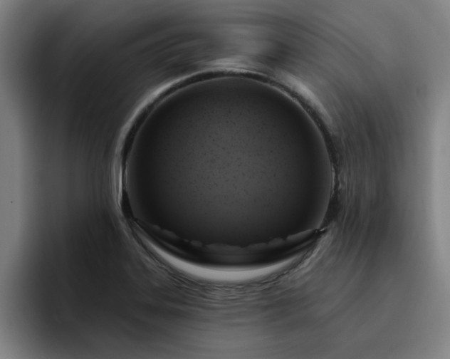 X0000094901323200712061020