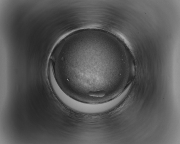 X0000094901324200712061020