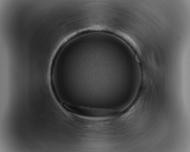 X0000094901327200712061021