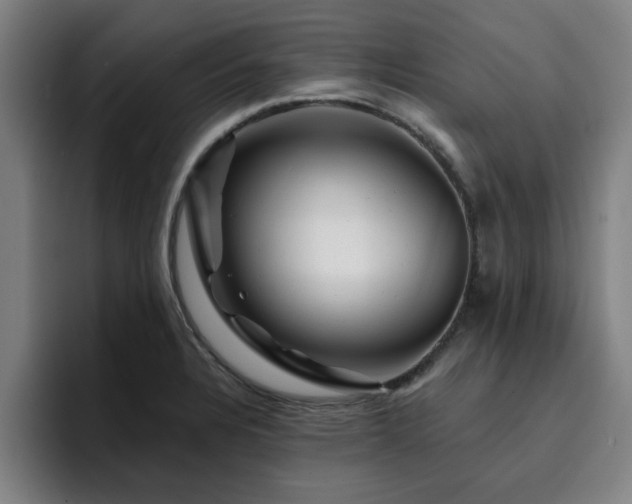 X0000094901328200712061021
