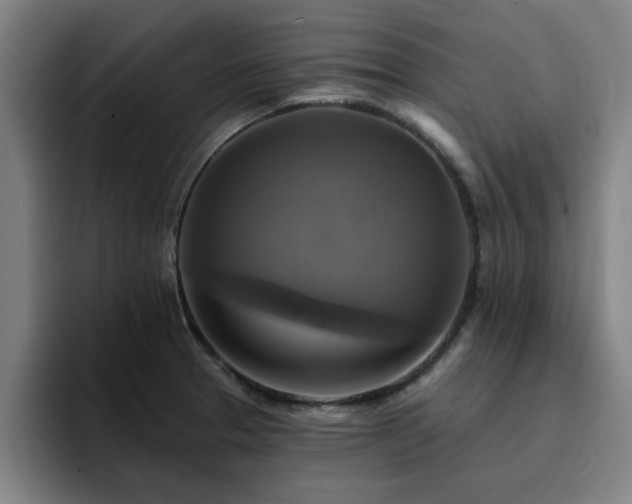 X0000094901329200712061021