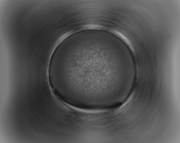 X0000094901330200712061021