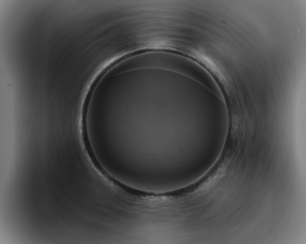X0000094901331200712061021