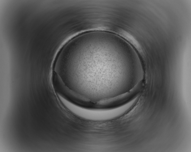 X0000094901332200712061021