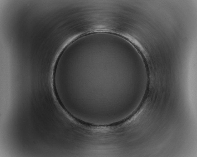 X0000094901333200712061021