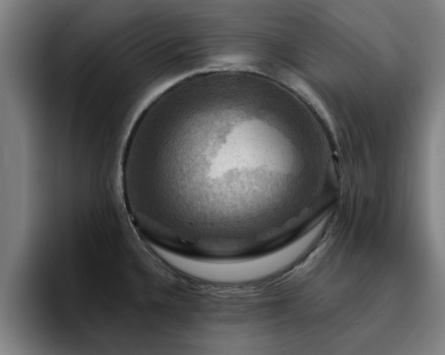 X0000094901336200712061021