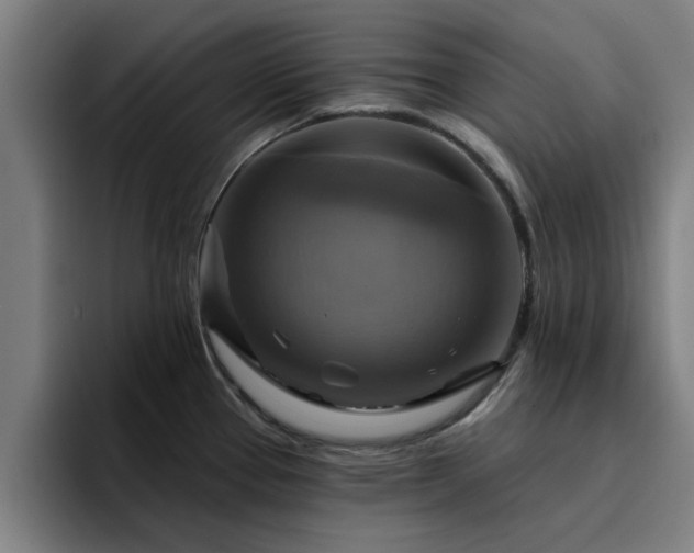 X0000094901337200712061021