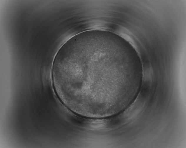 X0000094901338200712061021