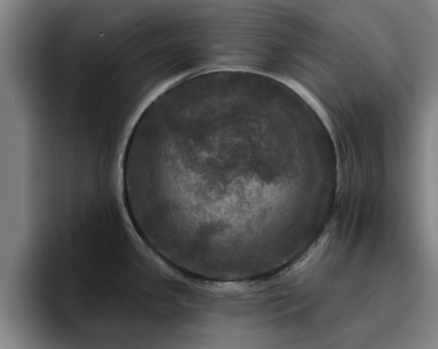 X0000094901341200712061021