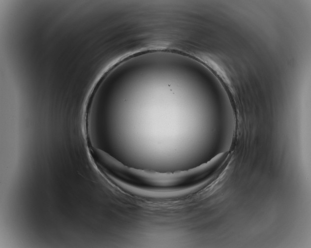 X0000094901342200712061021