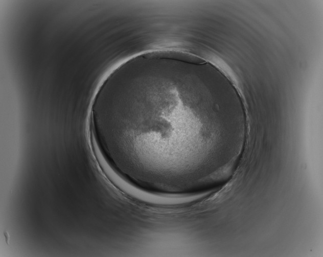 X0000094901344200712061021