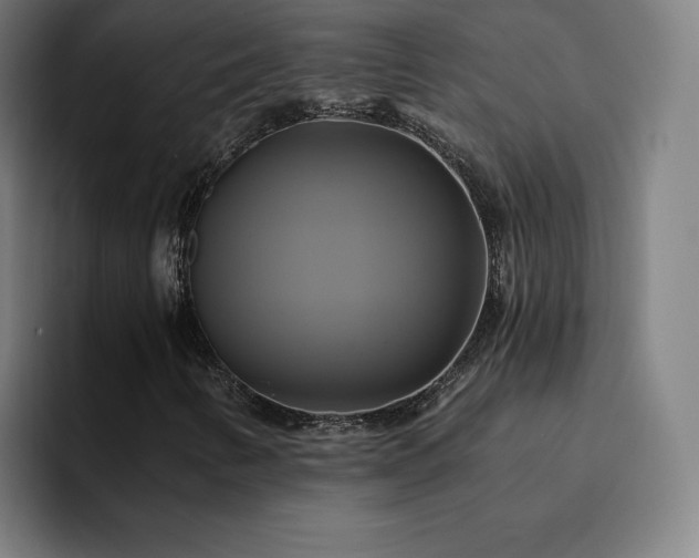 X0000094901346200712061020
