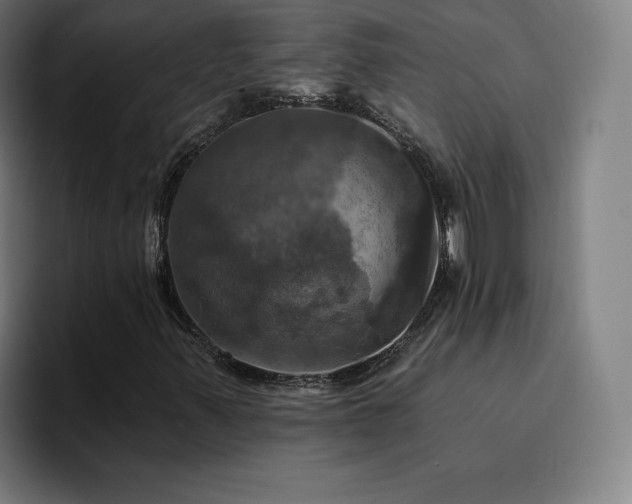 X0000094901347200712061020