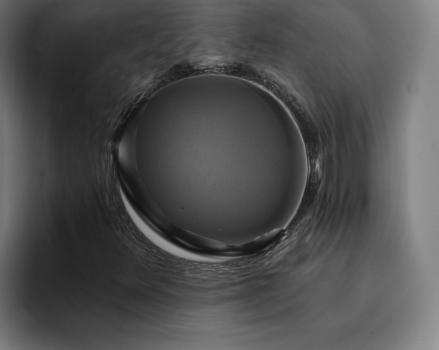 X0000094901348200712061020