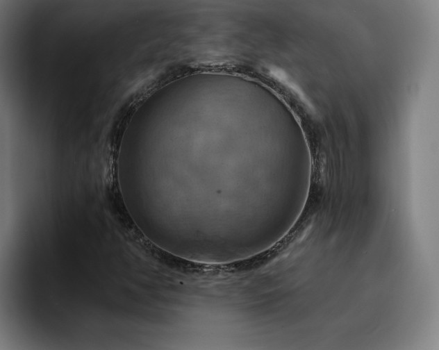 X0000094901350200712061020