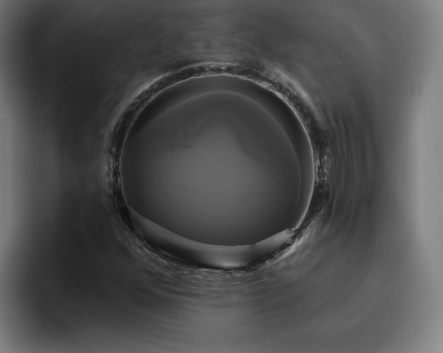 X0000094901352200712061020