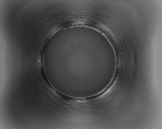 X0000094901353200712061020