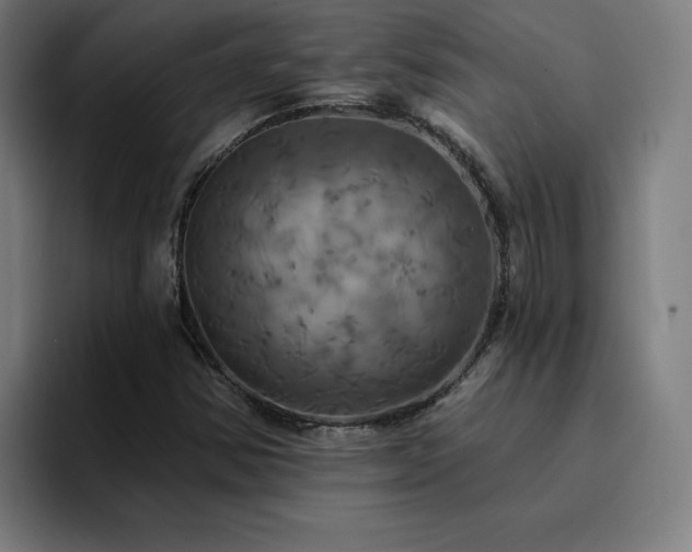 X0000094901354200712061020