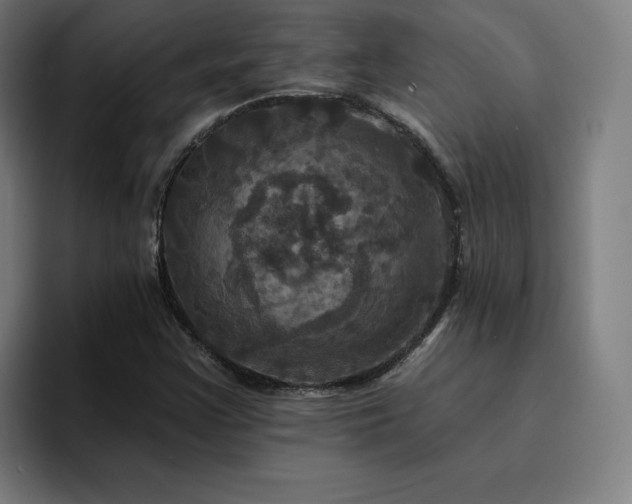 X0000094901355200712061020