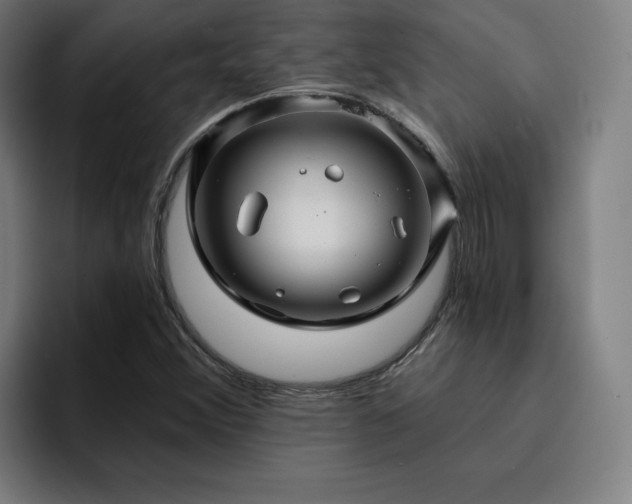X0000094901356200712061020