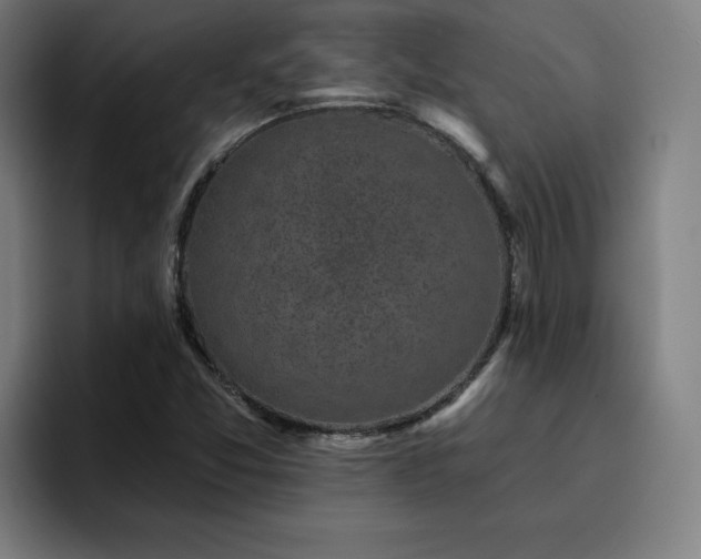 X0000094901357200712061020