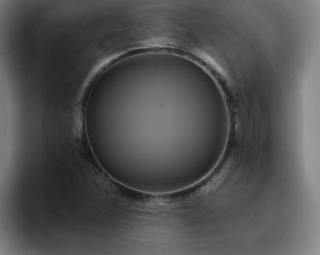 X0000094901358200712061020