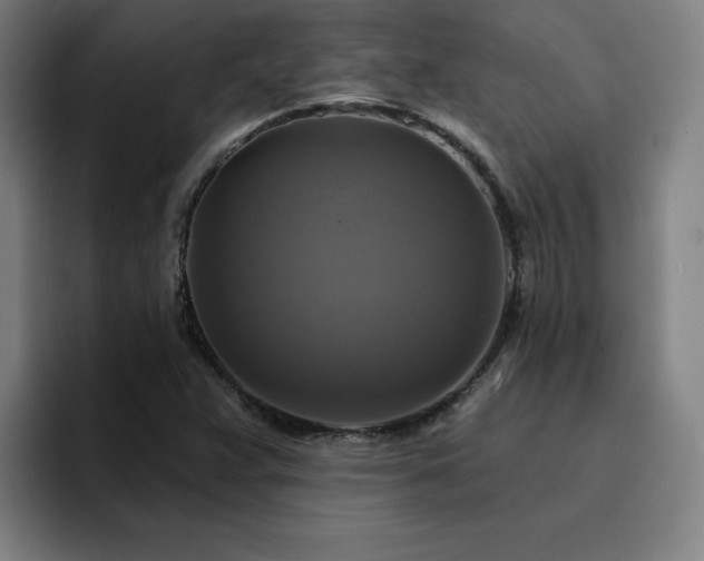 X0000094901359200712061020
