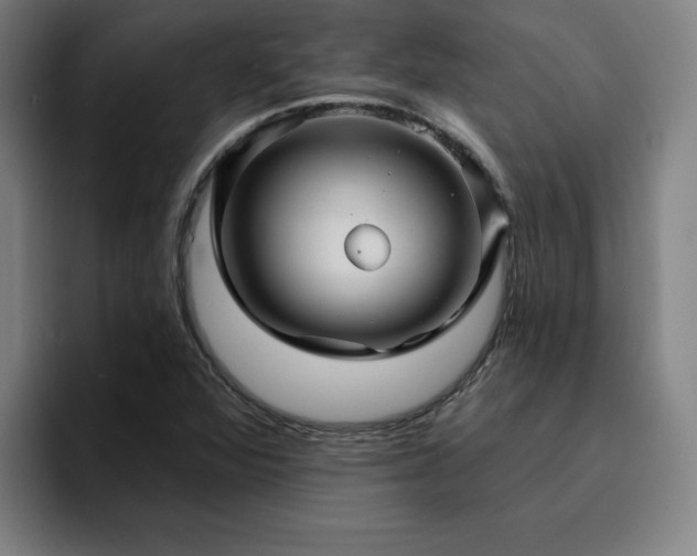 X0000094901360200712061020