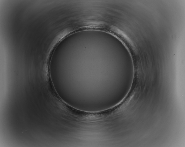 X0000094901362200712061020