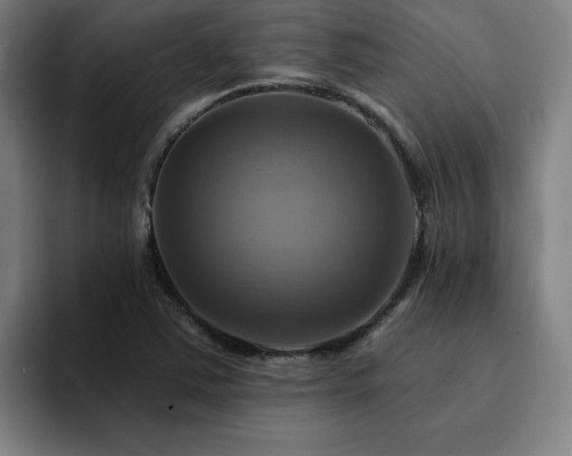 X0000094901363200712061020