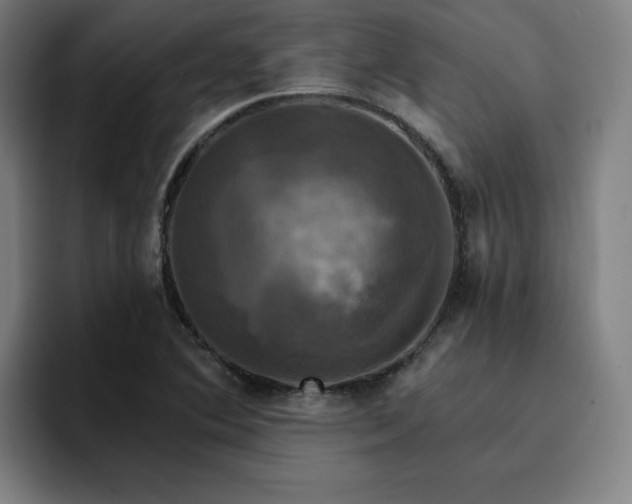 X0000094901364200712061020
