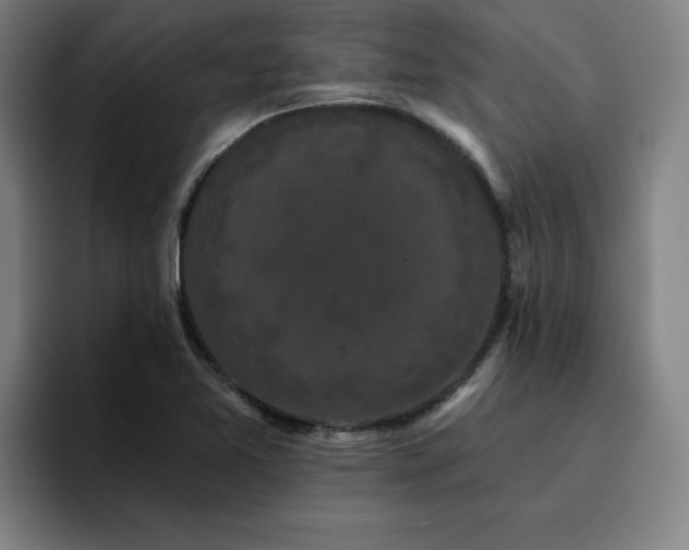 X0000094901365200712061020