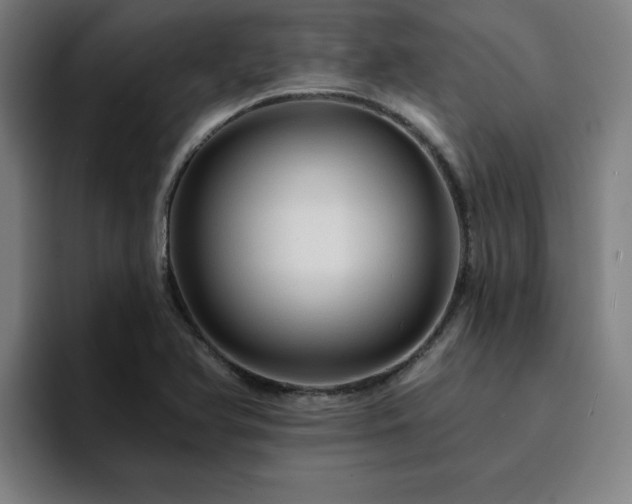 X0000094901366200712061020