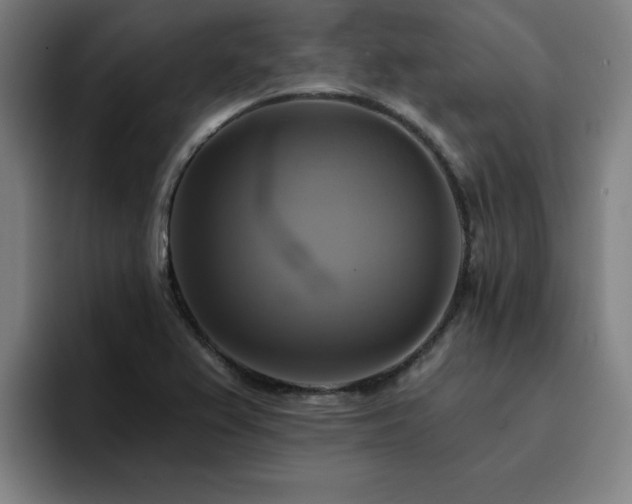 X0000094901367200712061020