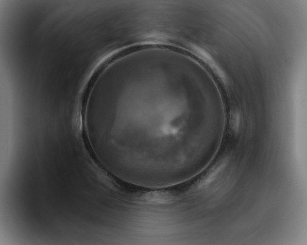 X0000094901368200712061020