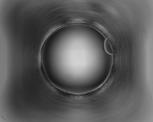 X0000094901370200712061020