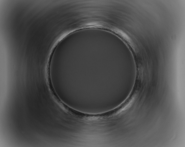X0000094901373200712061020