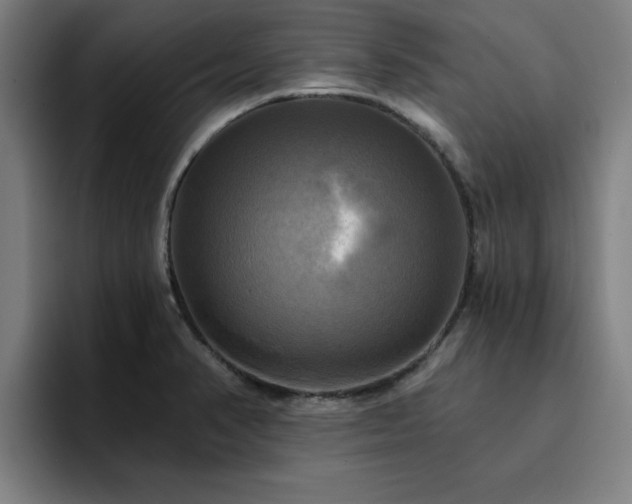 X0000094901374200712061020