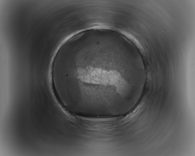 X0000094901375200712061020