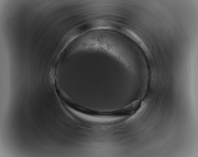 X0000094901377200712061020